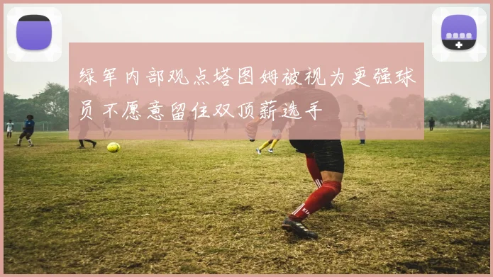 绿军内部观点塔图姆被视为更强球员不愿意留住双顶薪选手