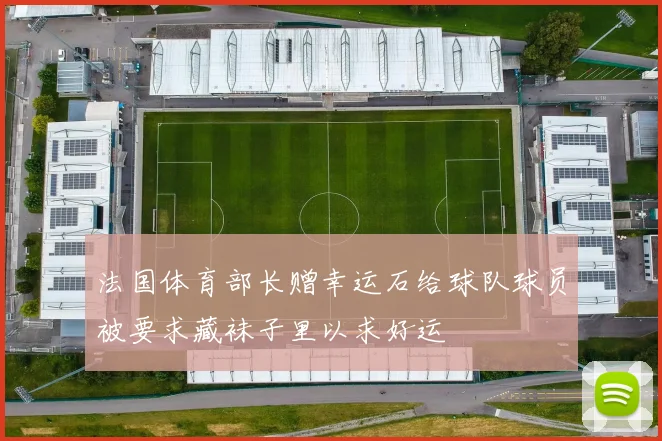 法国体育部长赠幸运石给球队球员被要求藏袜子里以求好运